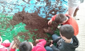 Niños cogiendo la tierra